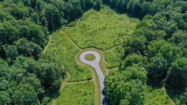 a view of a garden with plants