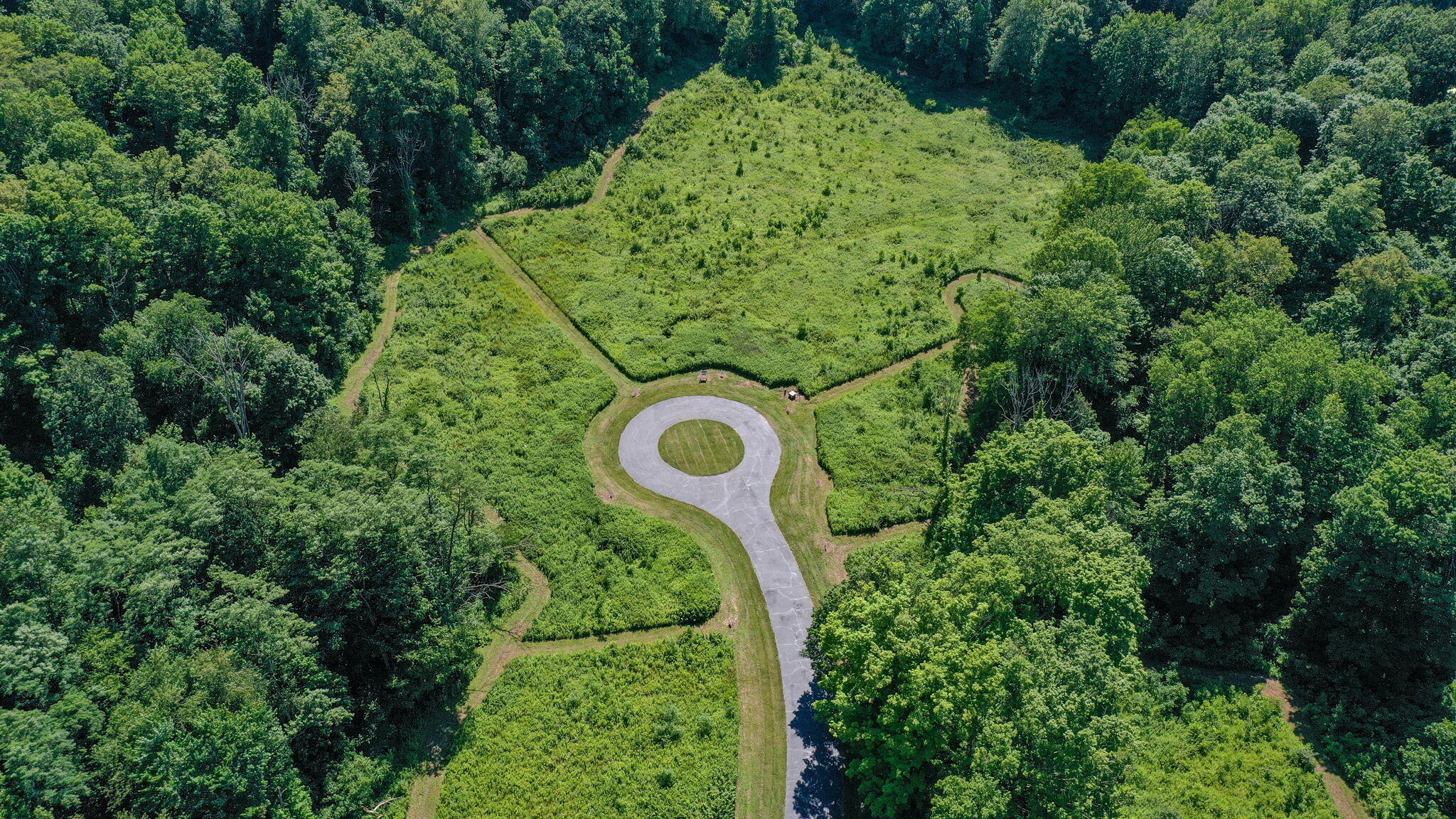 a view of a garden with plants