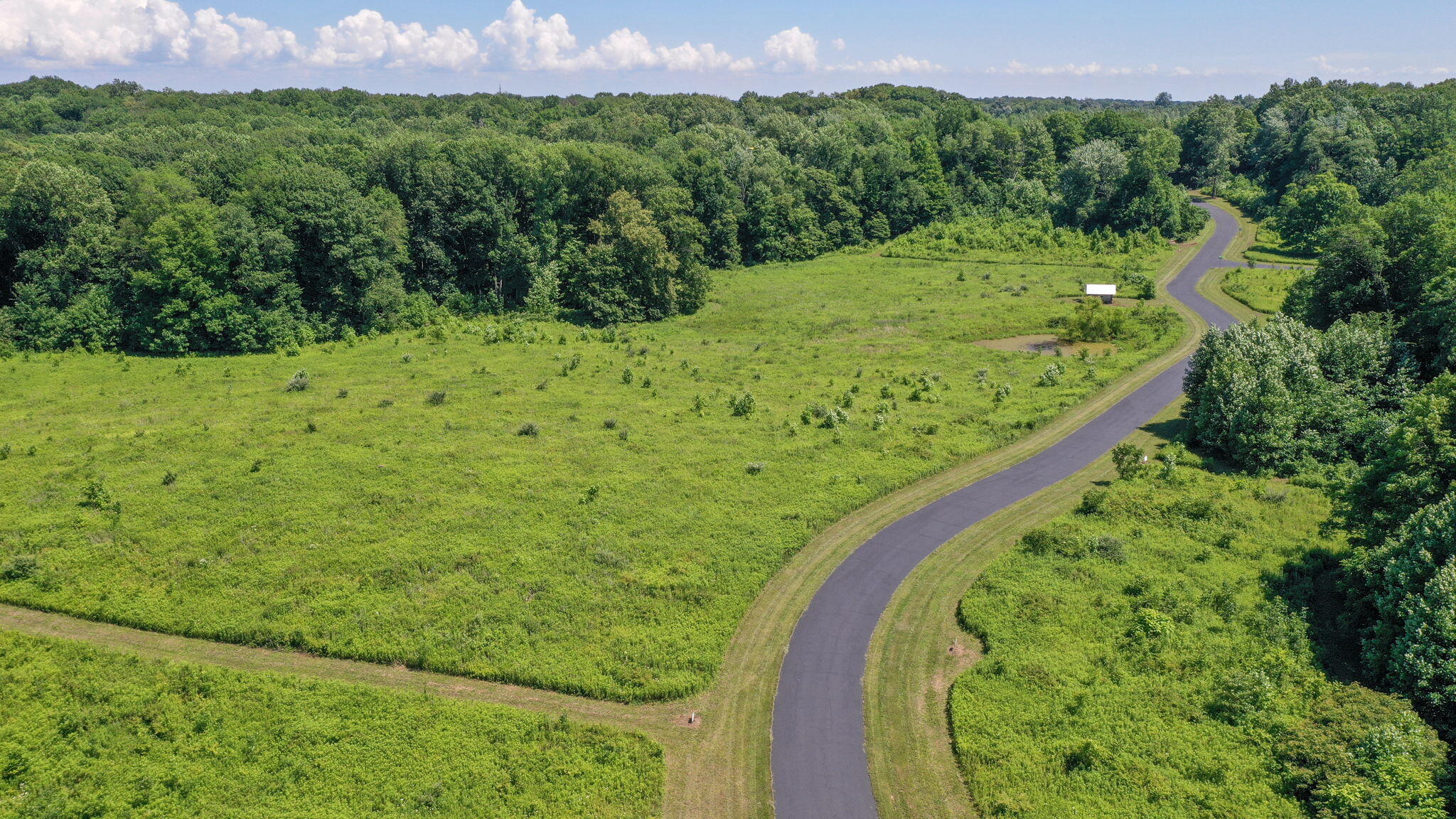 6844 North Modern Way La Porte, IN 46350 - Photo 6 of 17 a view of a lush green forest with lots of trees
