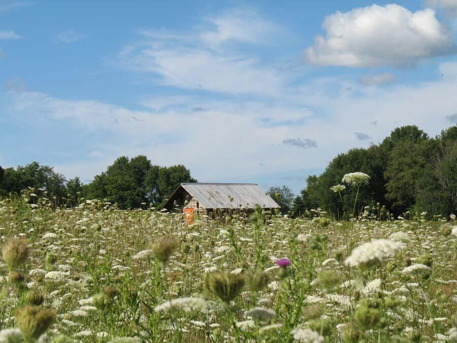6844 North Modern Way La Porte, IN 46350 - Photo 8 of 17 a view of a lake