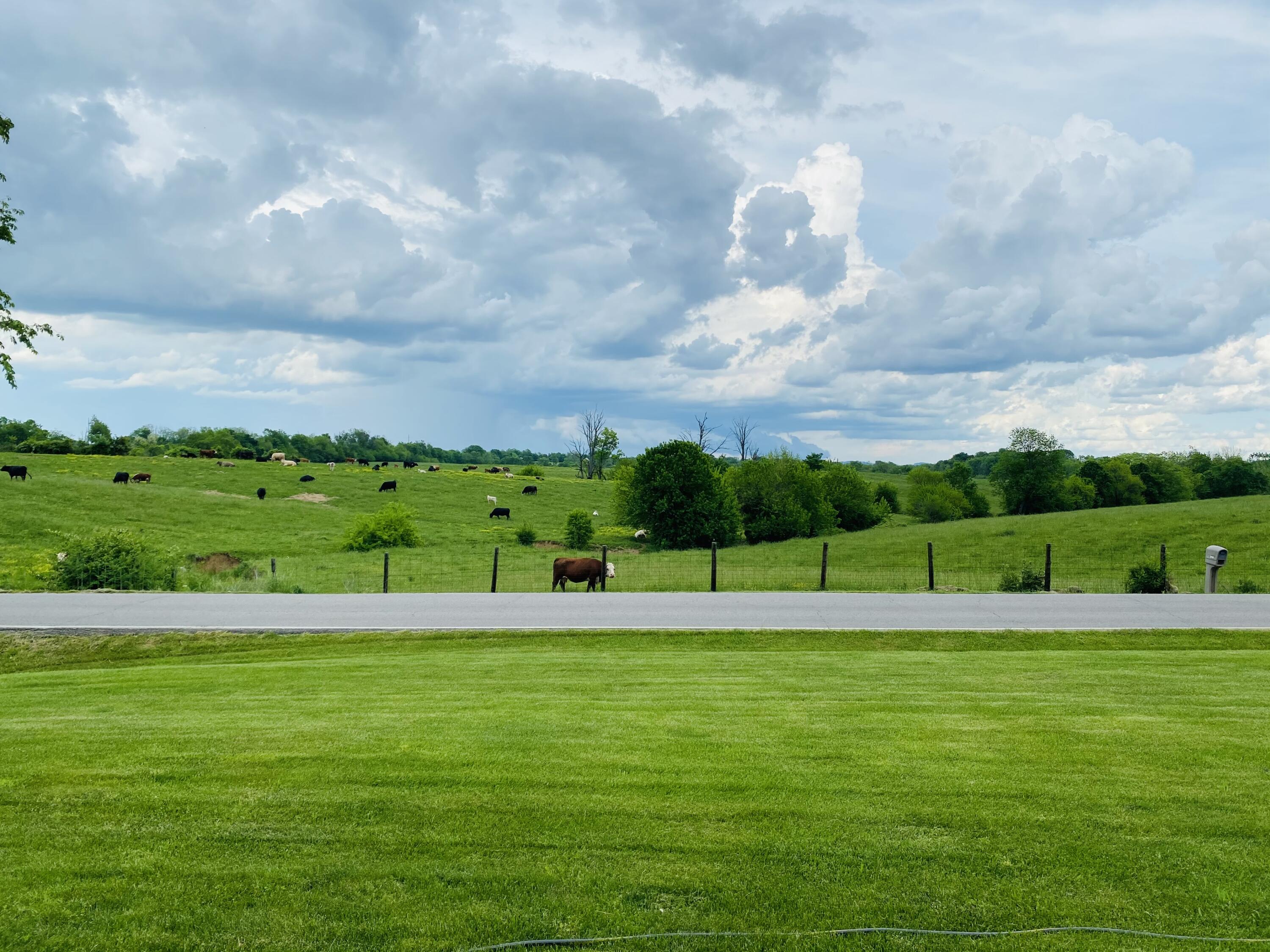 2048 Osborne Road Mount Sterling, KY 40353 - Photo 51 of 53 IMG_6964