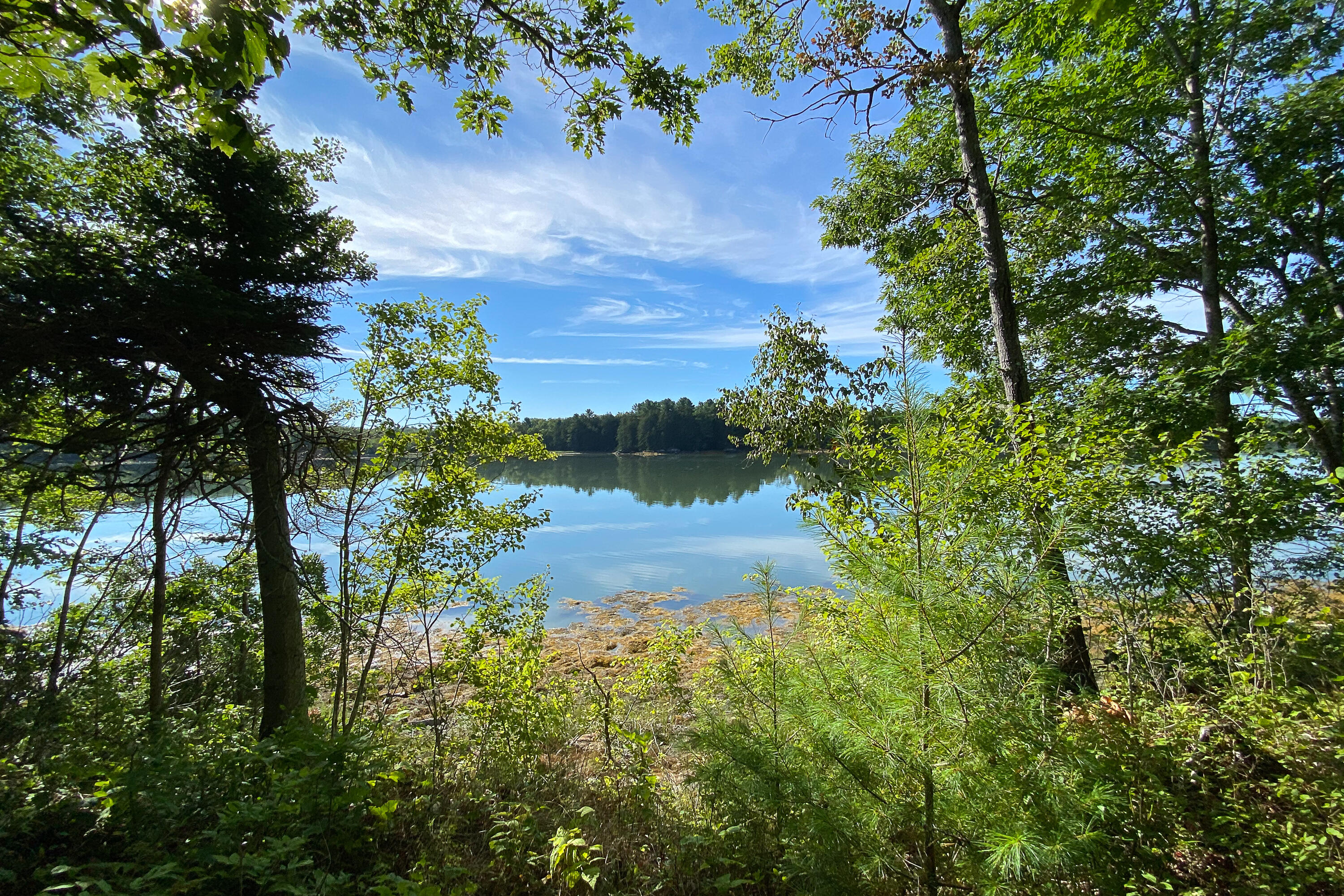 Lot 8 Treasure Point Road Tenants Harbor, ME 04860 - Photo 26 of 35 00TreasurePoint_LAND_33_S_print