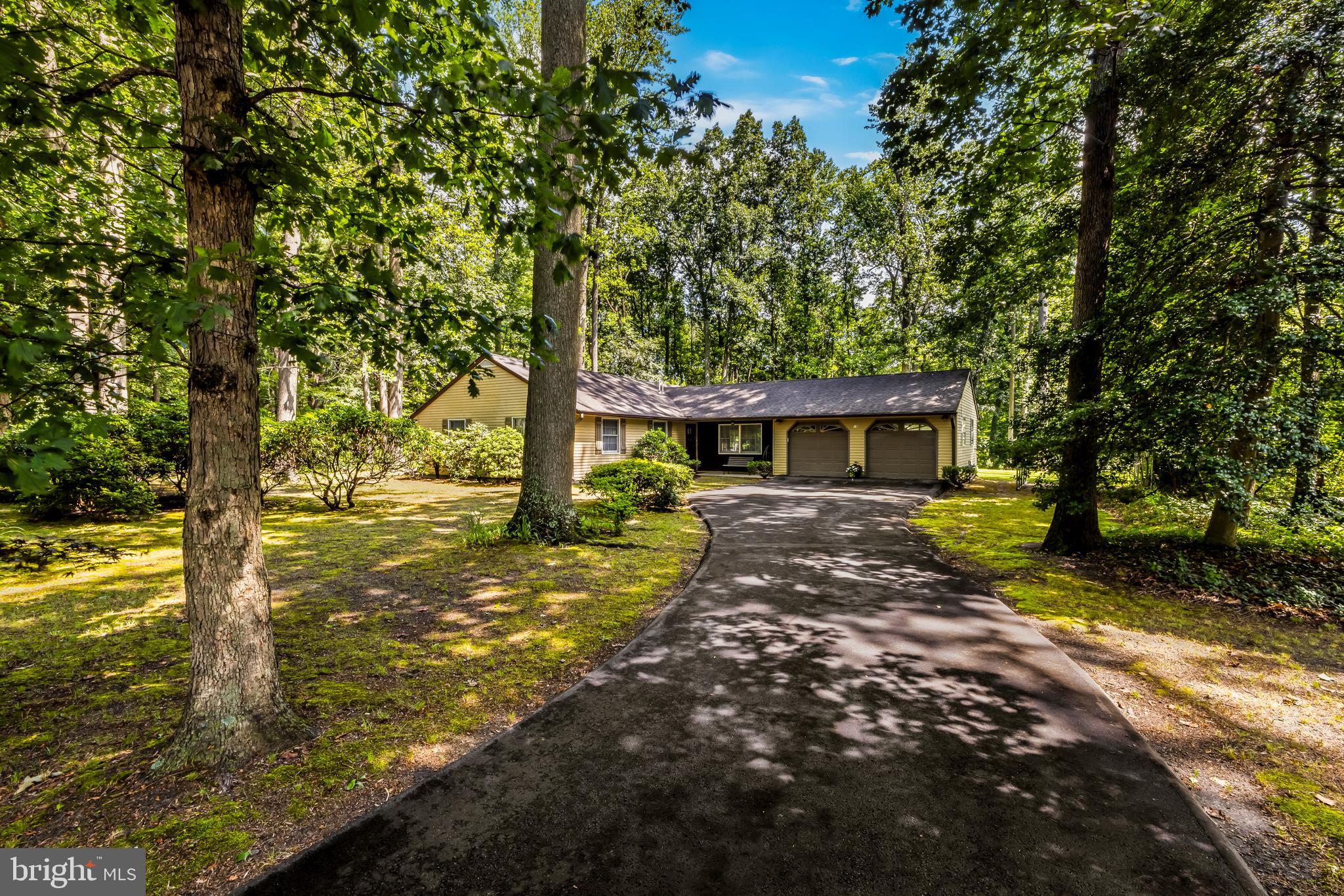 19 Miller Drive Sewell, NJ 08080 - Photo 3 of 20 a view of a yard with plants and large trees