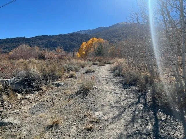 a view of a dry yard with mountains in the background