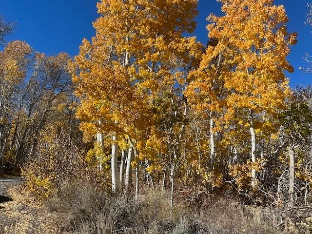 a map view of location