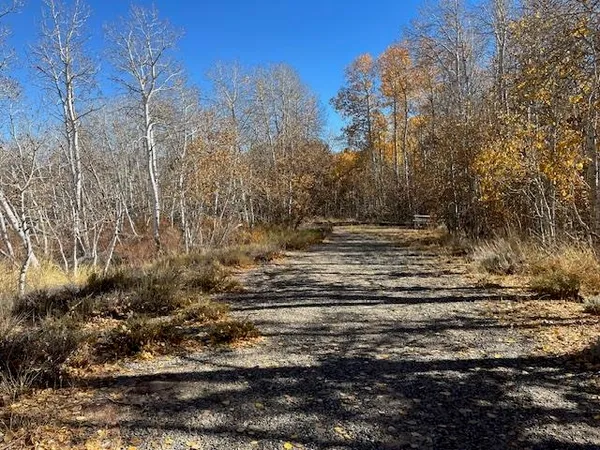 a view of dirt yard
