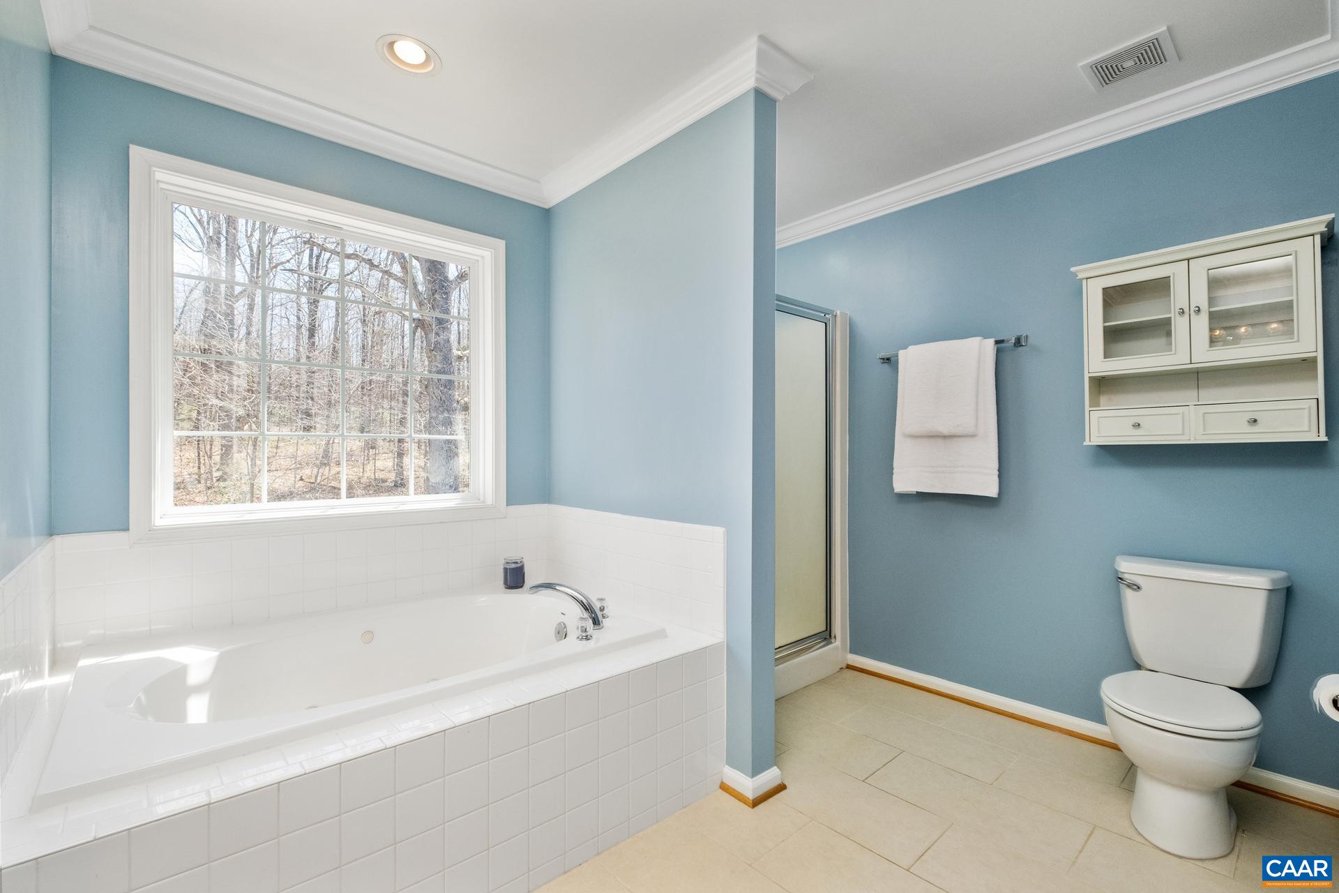 396 Riding Trail Lane Madison, VA 22727 - Photo 28 of 52 a bathroom with a bathtub and a toilet