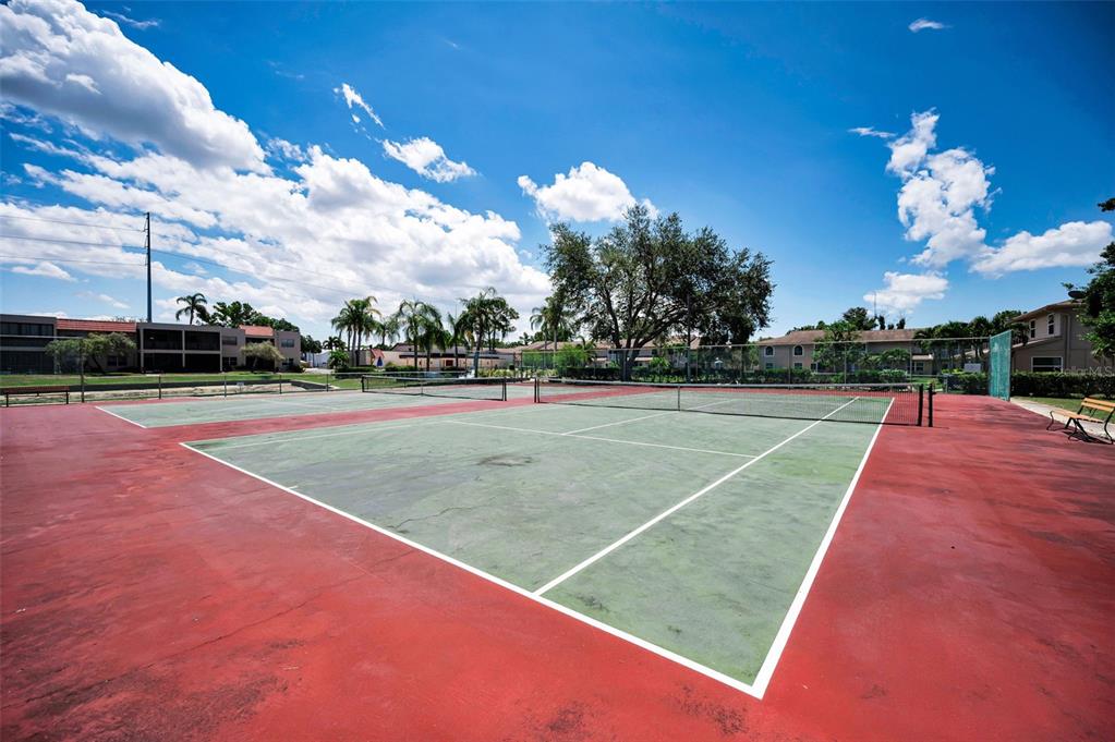 9700 Starkey Road, Unit 228 Seminole, FL 33777 - Photo 34 of 49