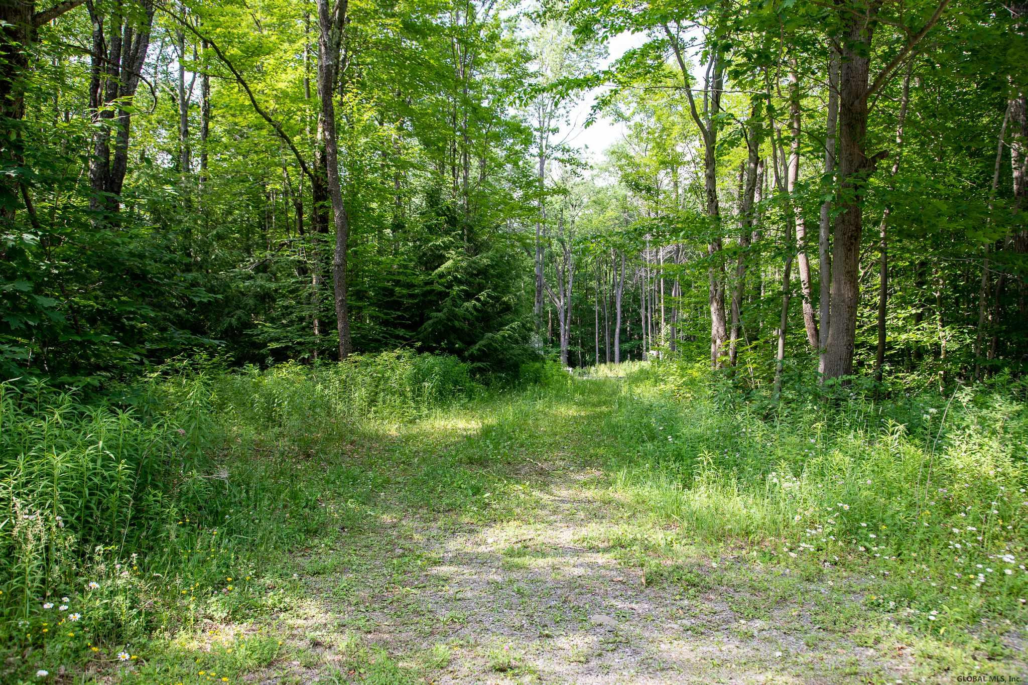 197 Reservoir Road Decatur, NY 12197 - Photo 3 of 19 Photo 3