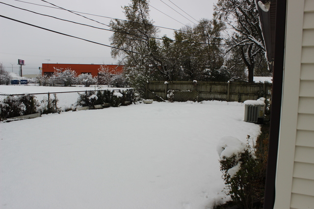 112 South Pinecrest Road Bolingbrook, IL 60440 - Photo 3 of 9
