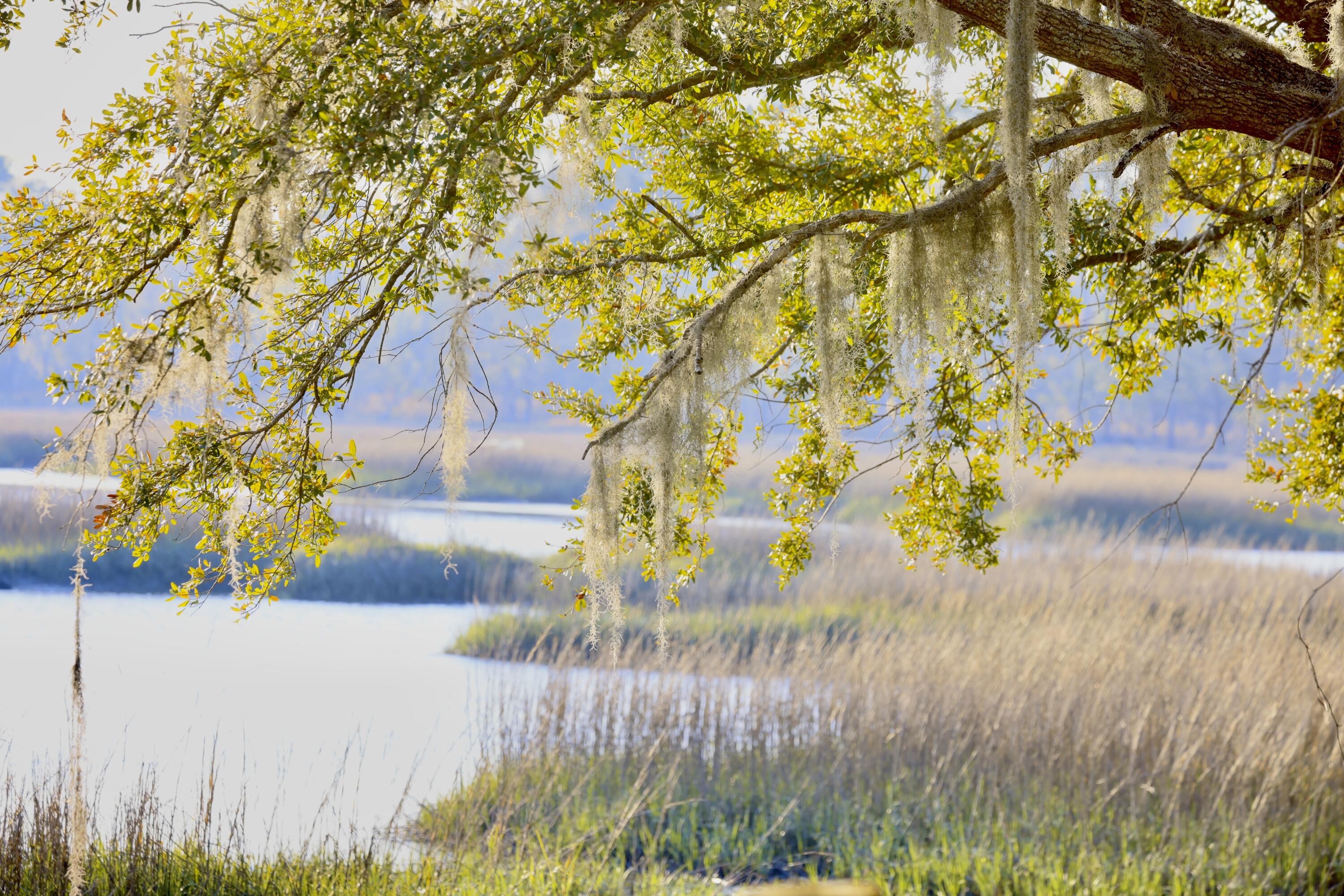 4559 Smoak Road Meggett, SC 29449 - Photo 1 of 30 Stunning sunsets