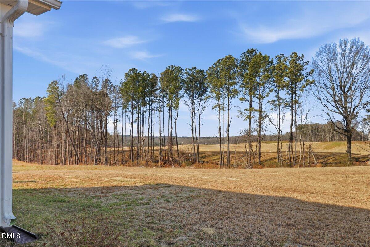 20 Roseshell Way Louisburg, NC 27549 - Photo 36 of 40 05-20 Roseshell Wy-5