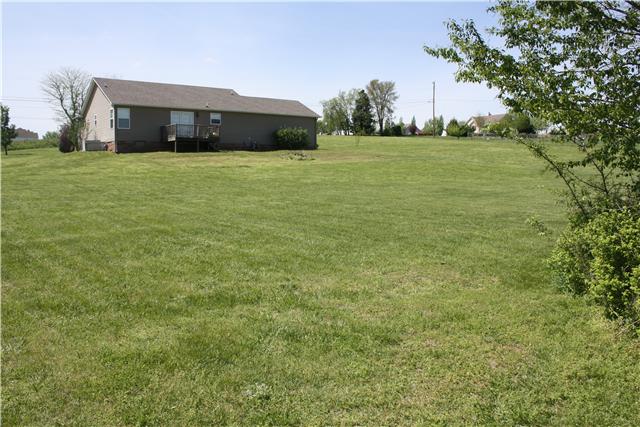 Huge back yard!