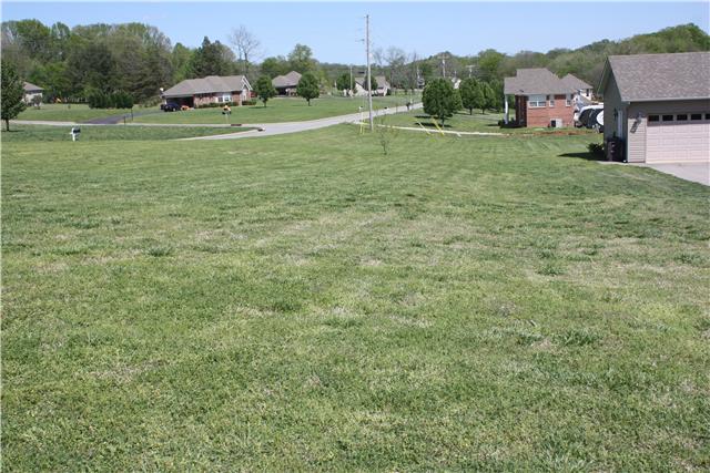 Huge side yard.