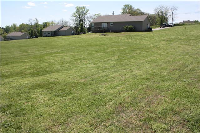 Did I mention that it has a huge yard?