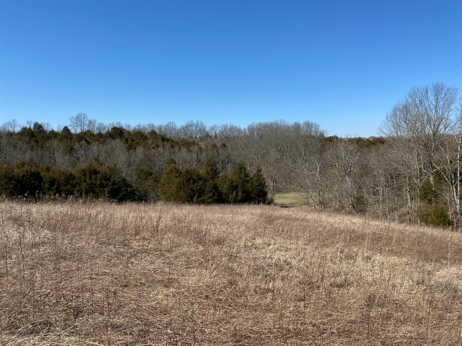 0 Denny Road Corinth, KY 41010 - Photo 1 of 18 Photo 1
