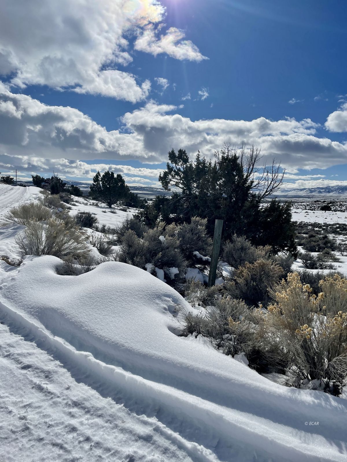 Grant Ave Spring Creek Spring Creek, NV 89815 - Photo 6 of 6