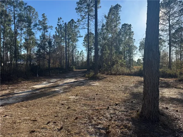 $32,500 | 0 White Tail Way, Blackshear, GA 31516