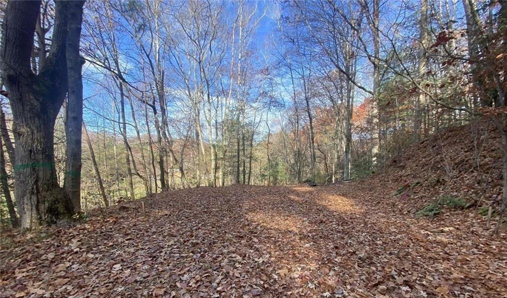 1 Barefoot Hill Road Hiawassee, GA 30546 - Photo 6 of 6 a view of backyard with green space