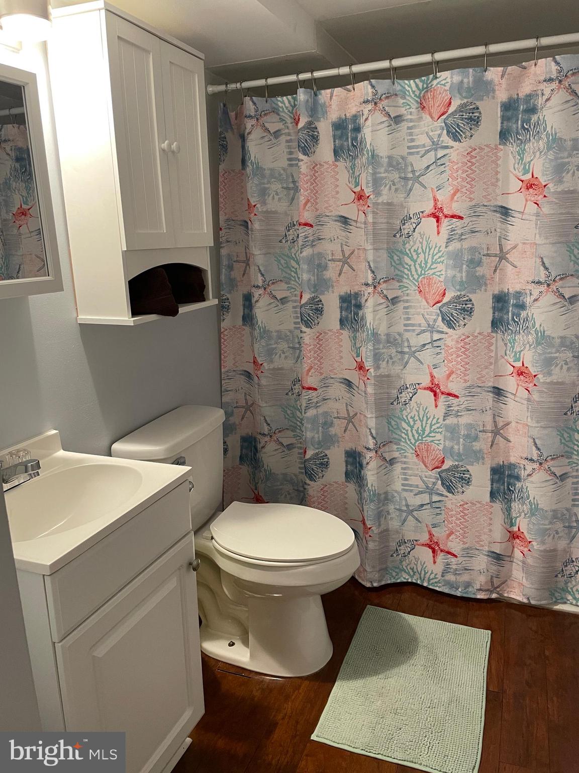 339 Hook Road Westminster, MD 21157 - Photo 18 of 19 Full Bath Downstairs