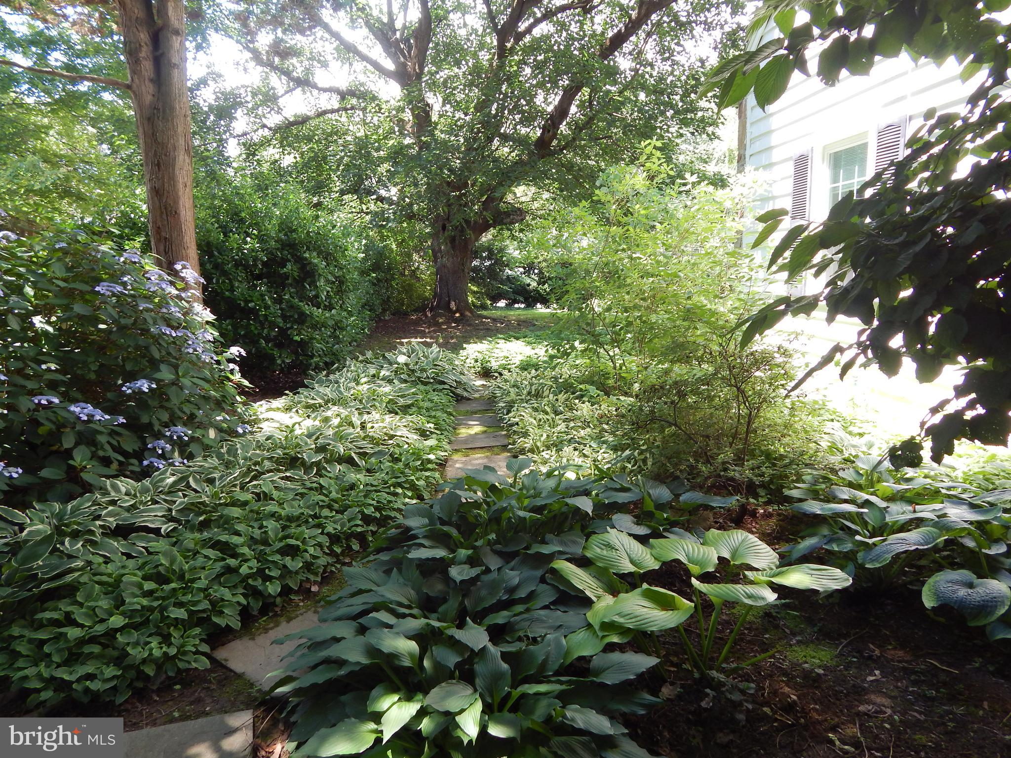 1229 Dulaney Valley Road Towson, MD 21286 - Photo 32 of 58 Beautiful Landscaping