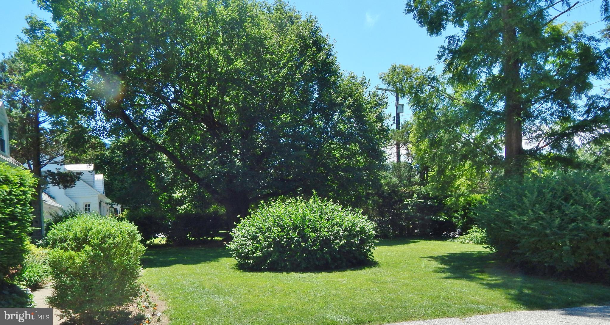 1229 Dulaney Valley Road Towson, MD 21286 - Photo 41 of 58 Front Yard Landscaping