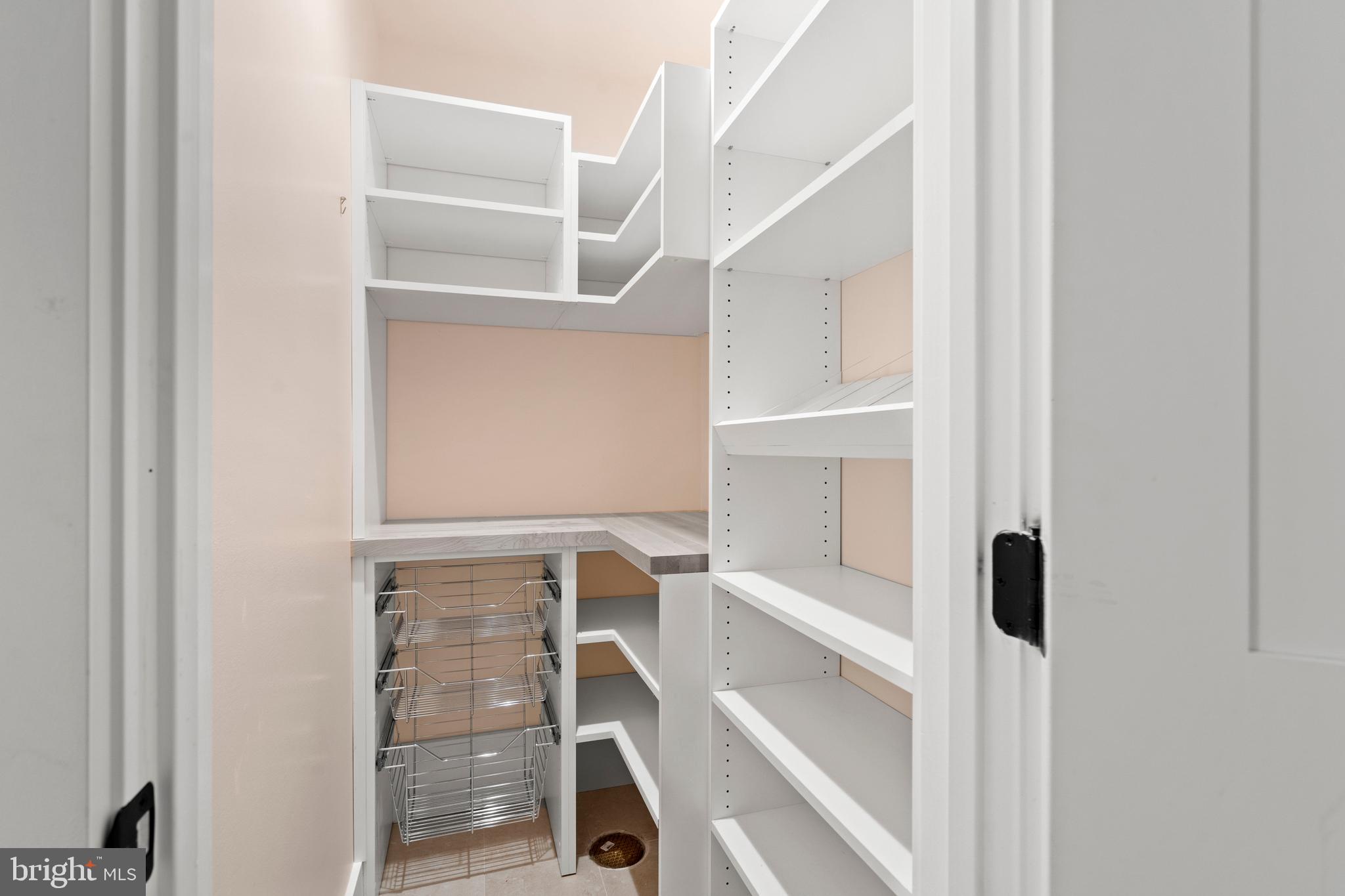 910 9th Street Northeast, Unit 1 Washington, DC 20002 - Photo 19 of 66 a view of walk in closet with empty racks