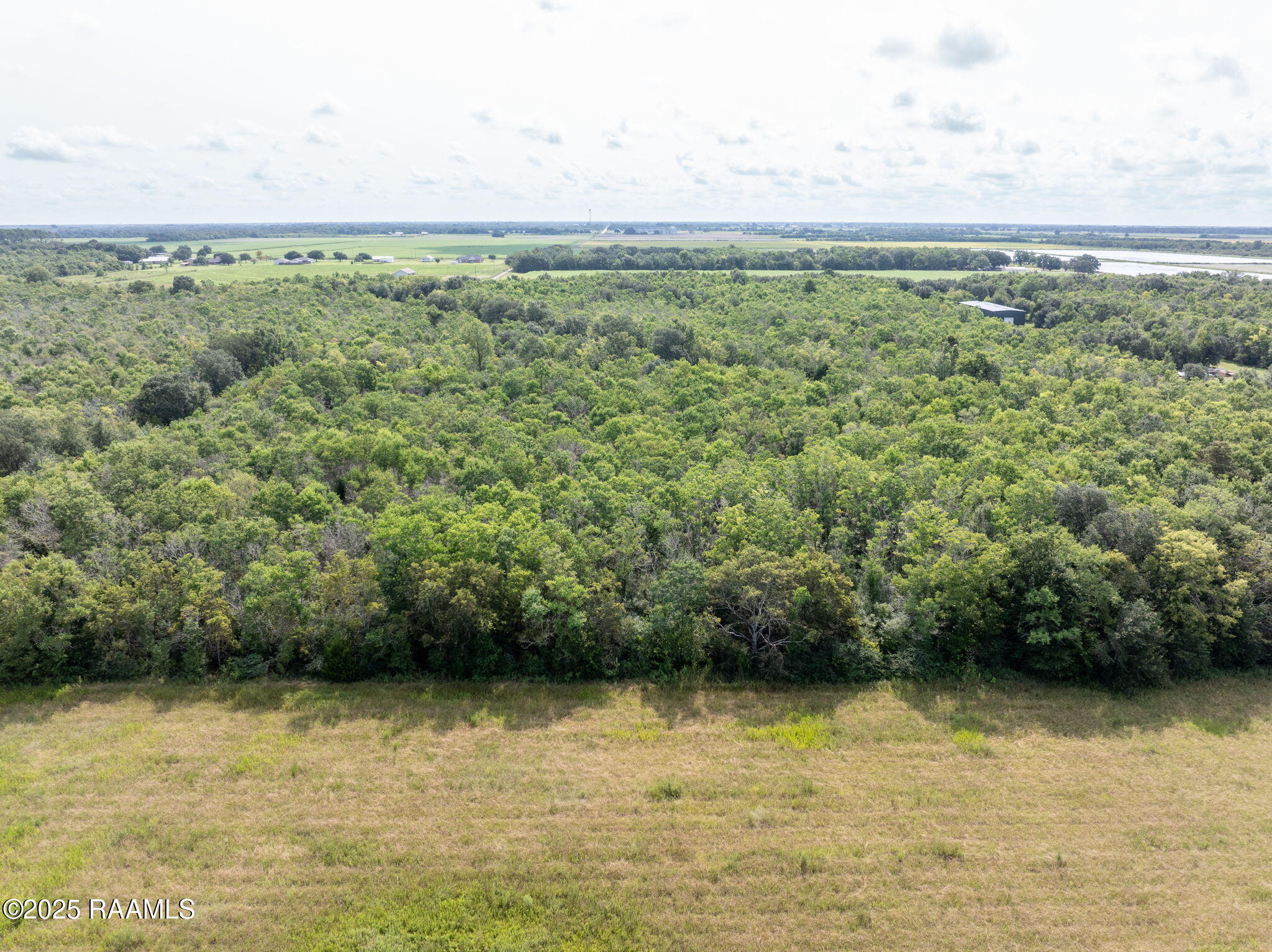 Tbd Tbd Flying F Ranch Rayne, LA 70578 - Photo 9 of 13 9-web-or-mls-DJI_20250807232203_0478_D