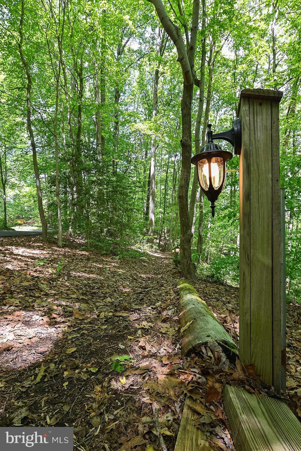 3226 Cragun Road Edgewater, MD 21037 - Photo 56 of 57 Path to the water has one-of-a-kind lighting