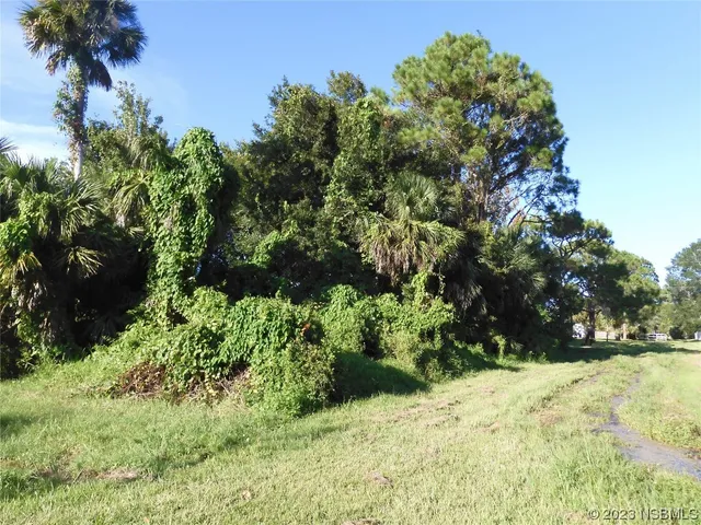 a view of a yard with plants and trees