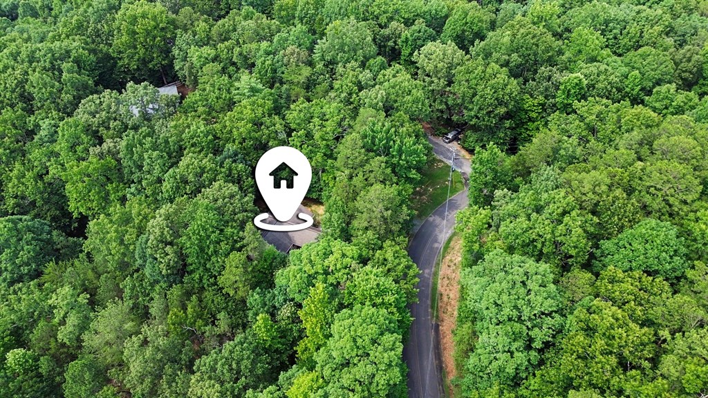 1240 Camp Branch Road Ellijay, GA 30540 - Photo 32 of 35 Gallery Image 32