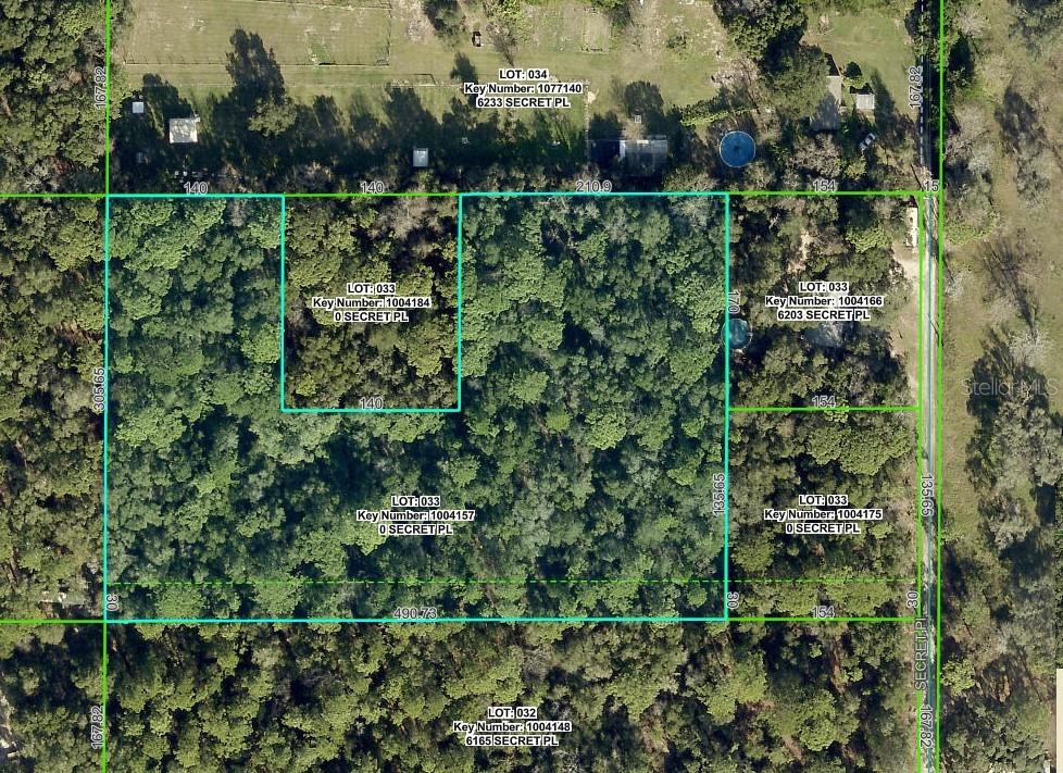 0 Secret Place Brooksville, FL 34604 - Photo 3 of 4 a view of a garden