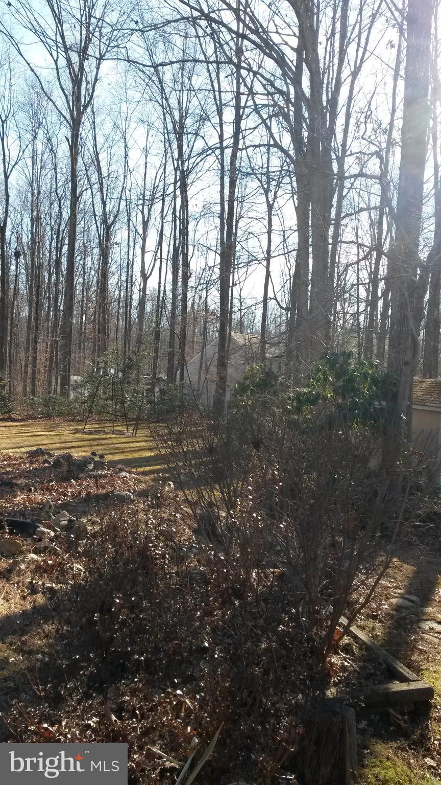 106 Walnut Ridge Drive Stafford, VA 22556 - Photo 31 of 35