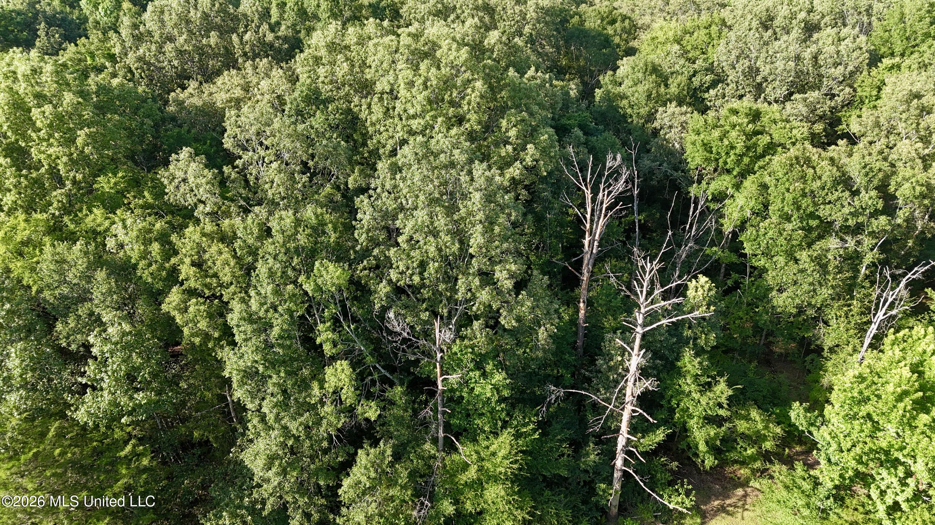 Mcdonald Road Madison, MS 39110 - Photo 1 of 6 dji_fly_20260625_175228_0314_17827374956
