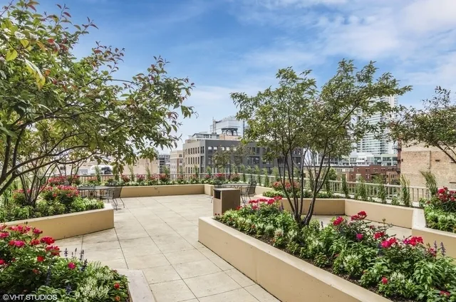 a view of a garden with flowers
