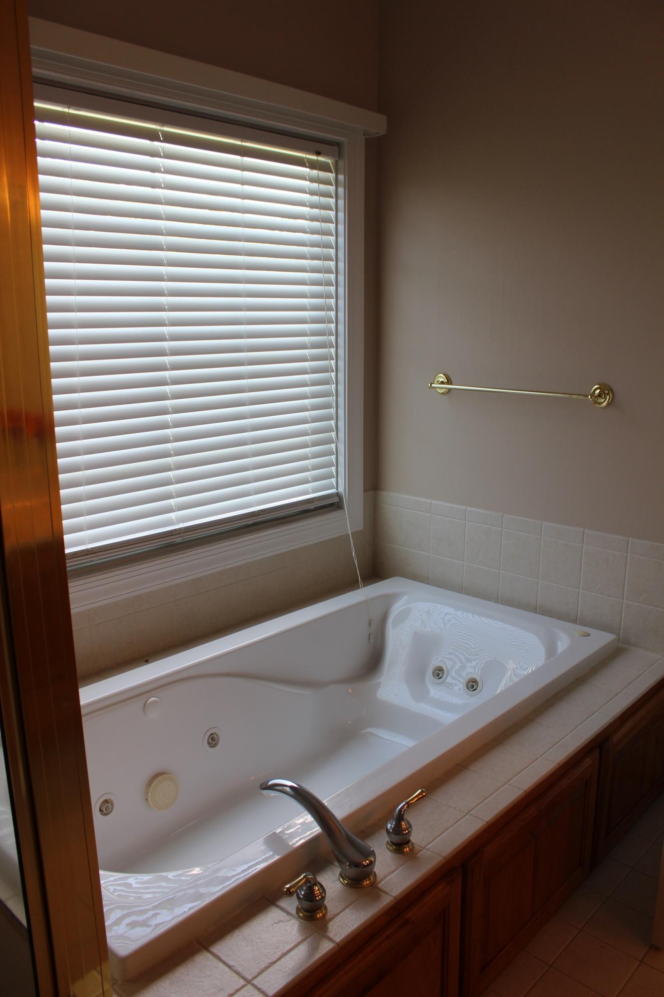 35 Apple Road Boones Mill, VA 24065 - Photo 14 of 22 Master Bath