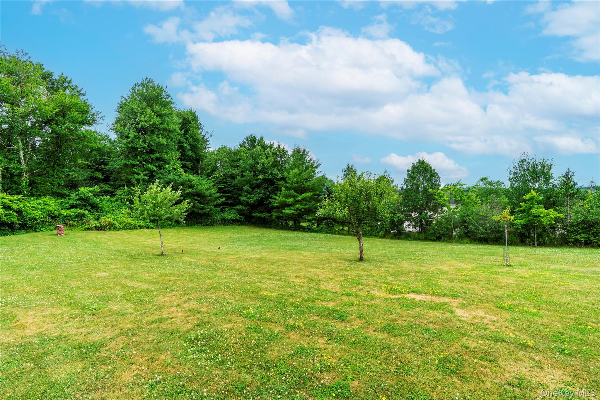 46 Wildflower Ridge Poughkeepsie, NY 12603 - Photo 34 of 39