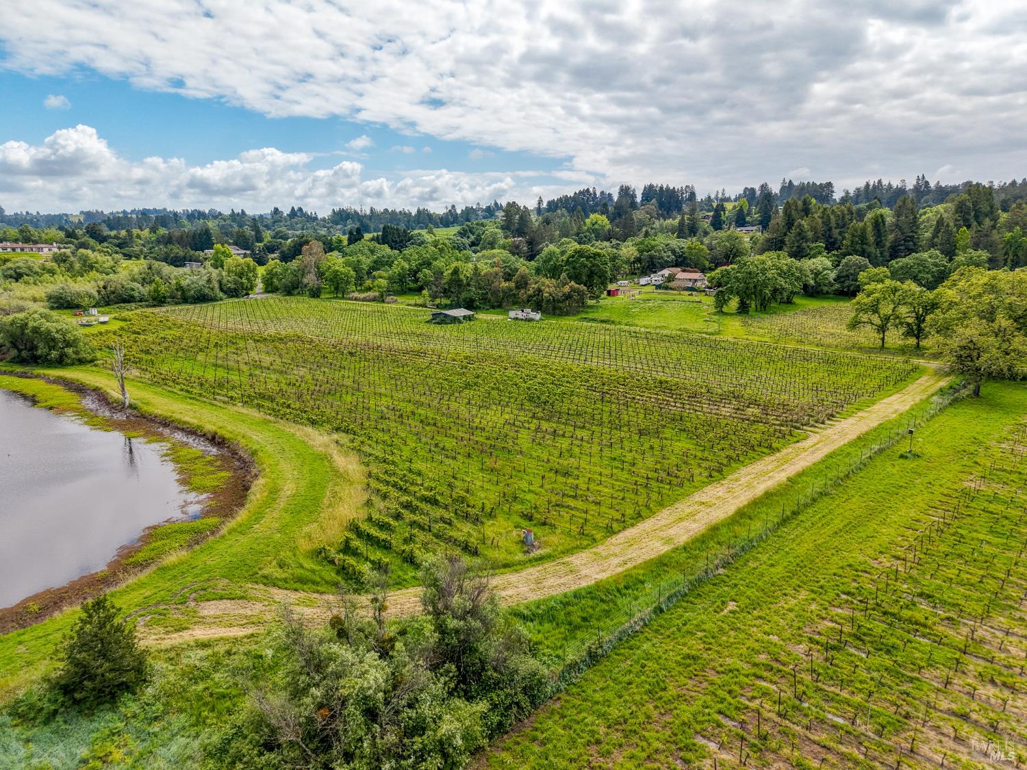 9700 Mill Station Road Sebastopol, CA 95472 - Photo 29 of 50