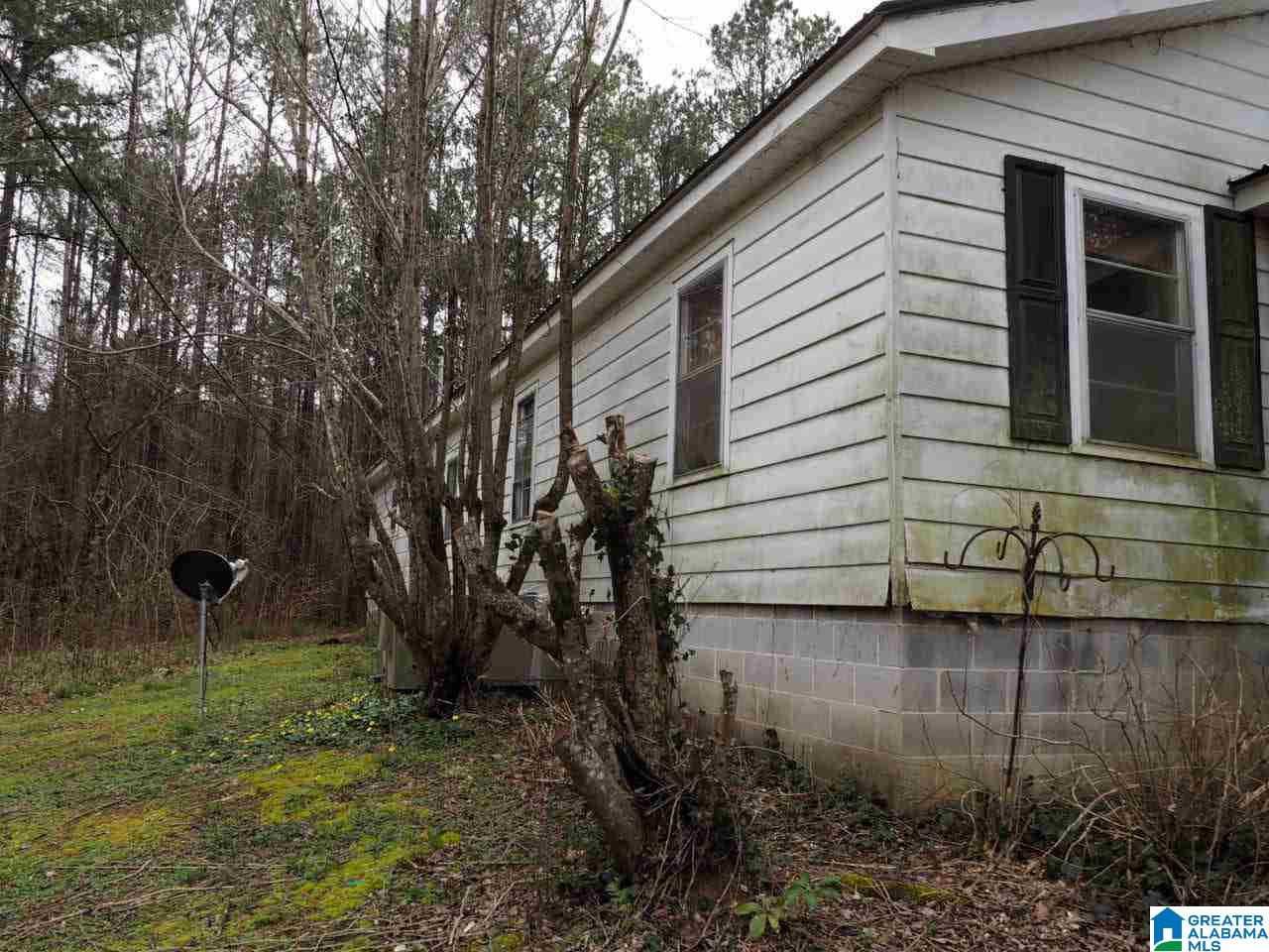 5355 Mountain View Road Odenville, AL 35120 - Photo 10 of 12