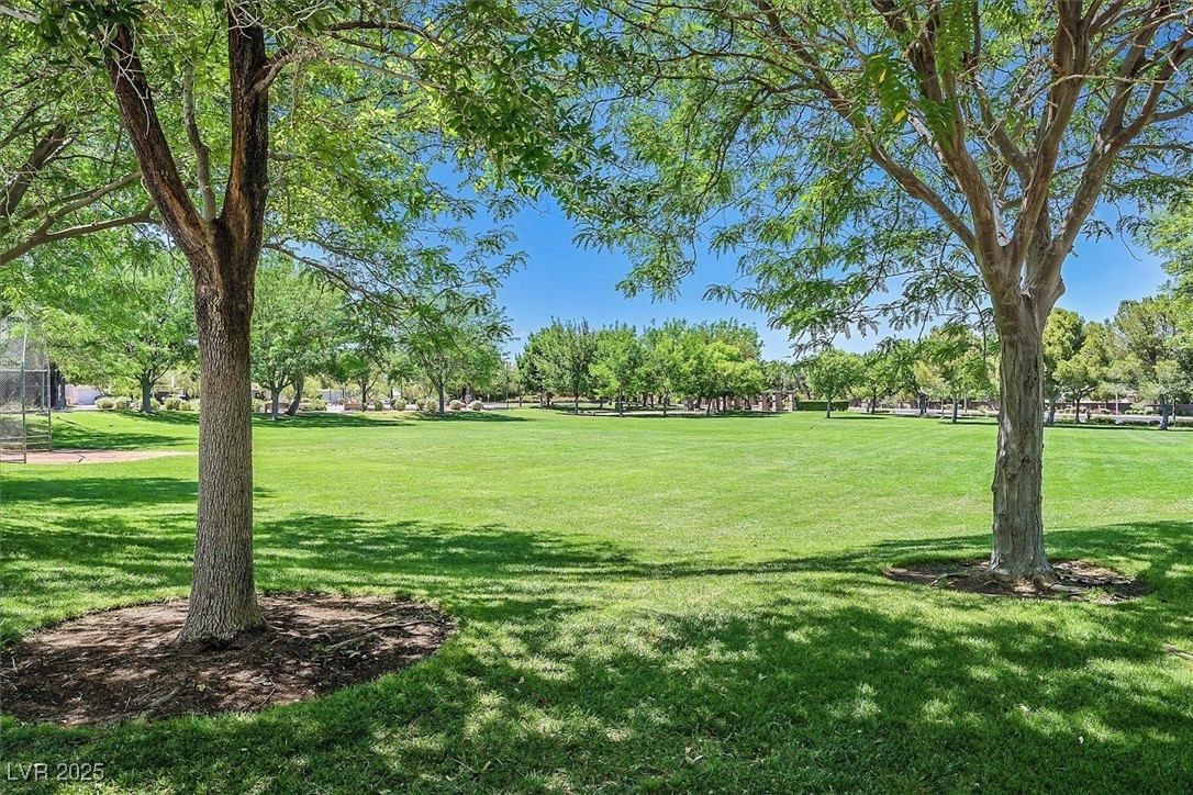 301 Treehouse Court Henderson, NV 89012 - Photo 46 of 48