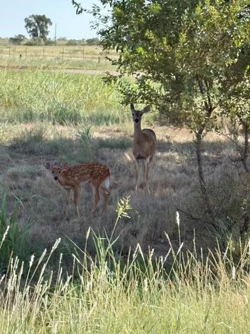 a view of a lake with beach and green space