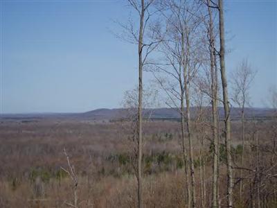Copemish Road Thompsonville, MI 49683 - Photo 3 of 6 Additional Photo