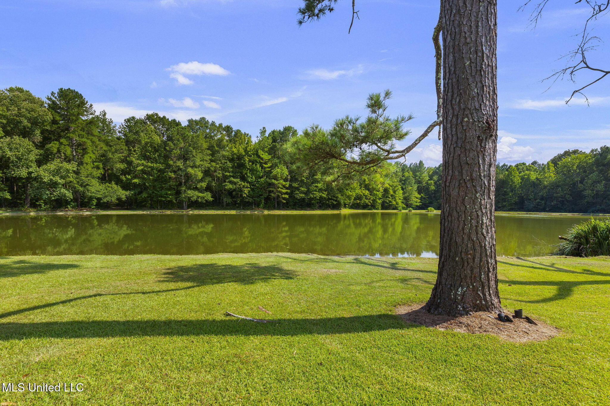 400 Fairchilds Road Morton, MS 39117 - Photo 72 of 118 72-web-or-mls-400 Fairchild-72