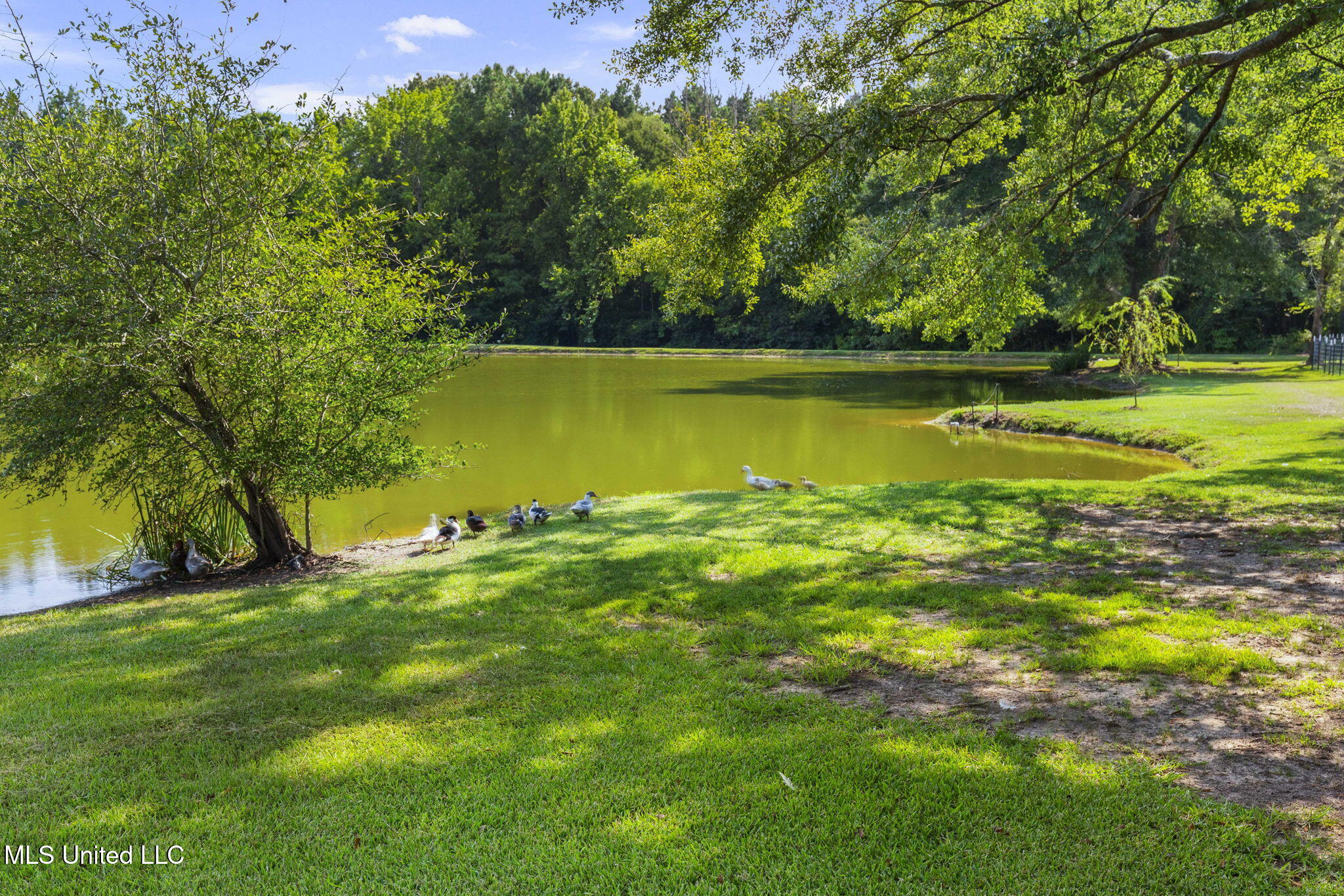 400 Fairchilds Road Morton, MS 39117 - Photo 74 of 118 74-web-or-mls-400 Fairchild-74