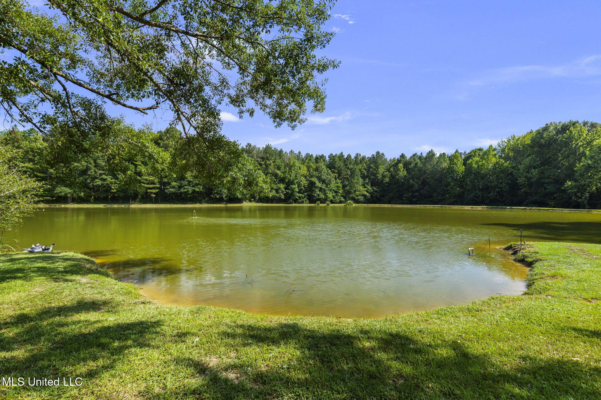 400 Fairchilds Road Morton, MS 39117 - Photo 76 of 118 76-web-or-mls-400 Fairchild-76