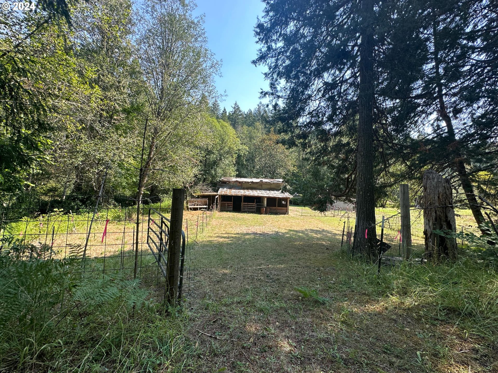 1689 Hidden Homestead Road Myrtle Creek, OR 97457 - Photo 27 of 48 Gallery Image 27