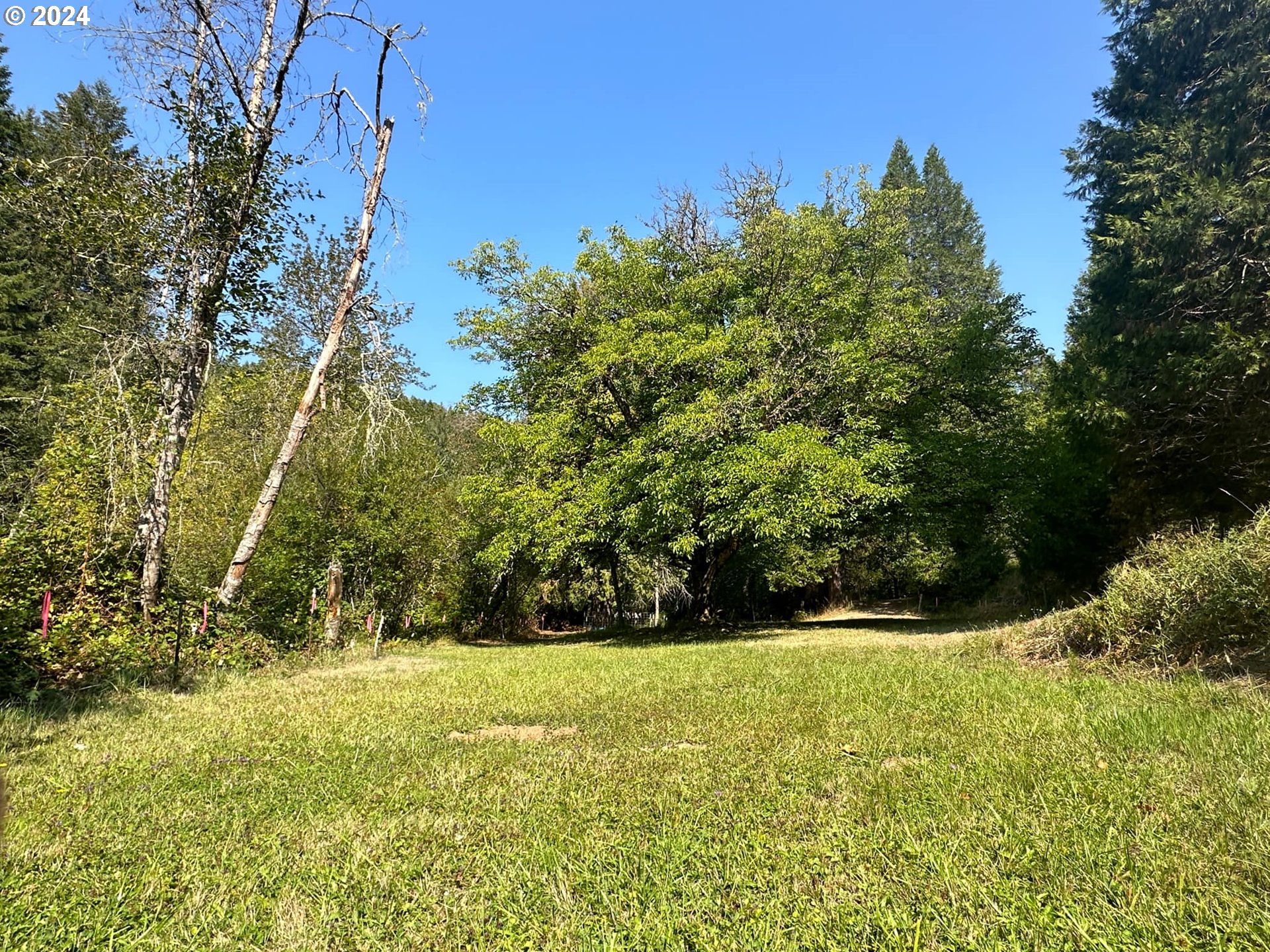 1689 Hidden Homestead Road Myrtle Creek, OR 97457 - Photo 41 of 48 Gallery Image 41
