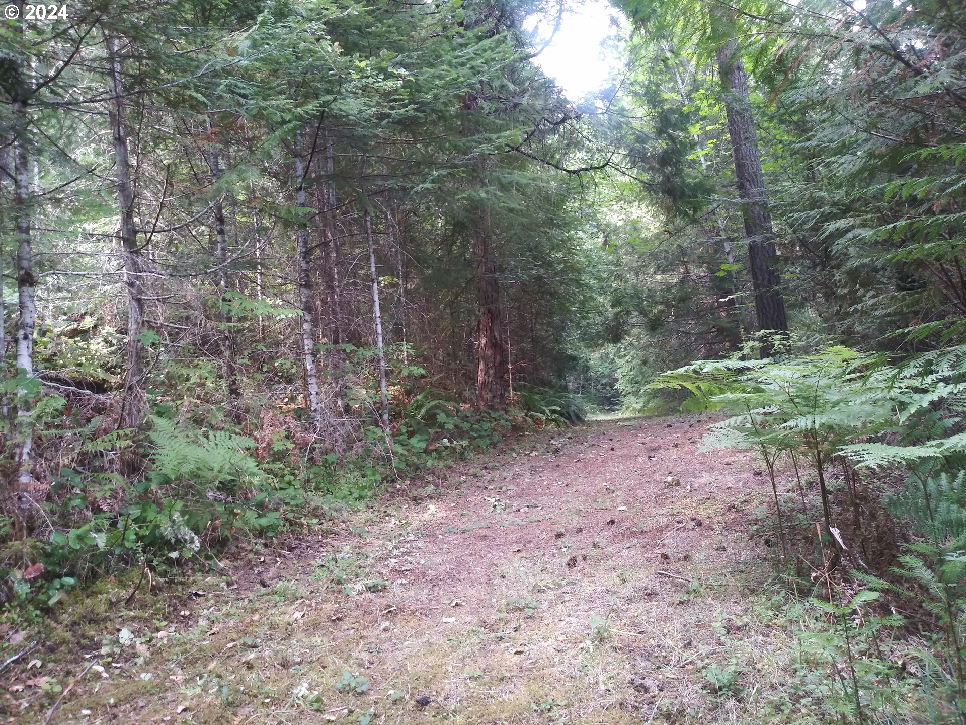 1689 Hidden Homestead Road Myrtle Creek, OR 97457 - Photo 42 of 48 Gallery Image 42