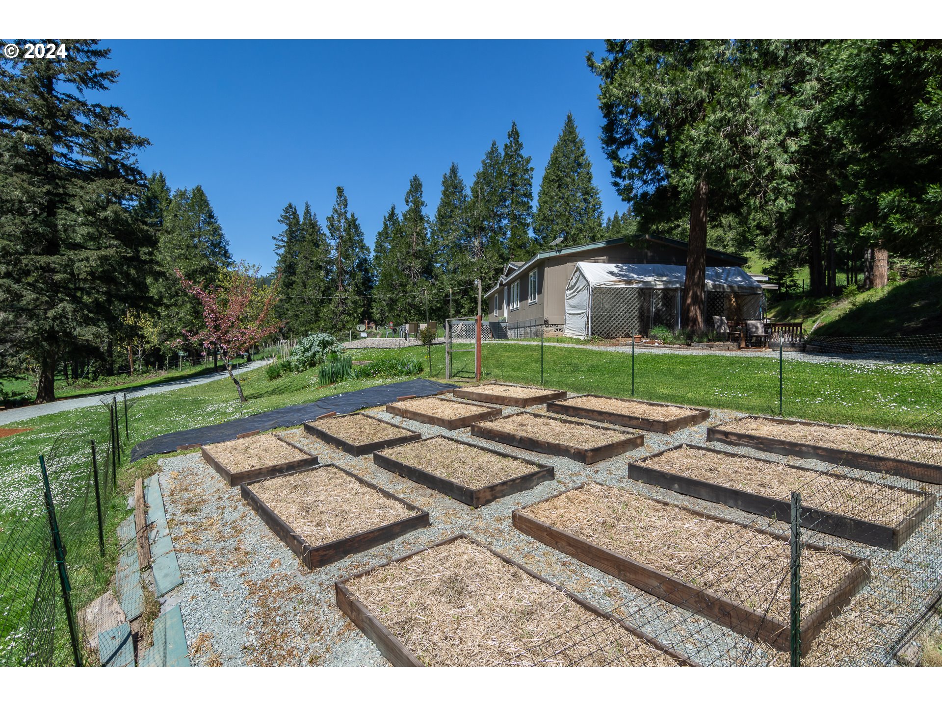 1689 Hidden Homestead Road Myrtle Creek, OR 97457 - Photo 5 of 48 Gallery Image 5
