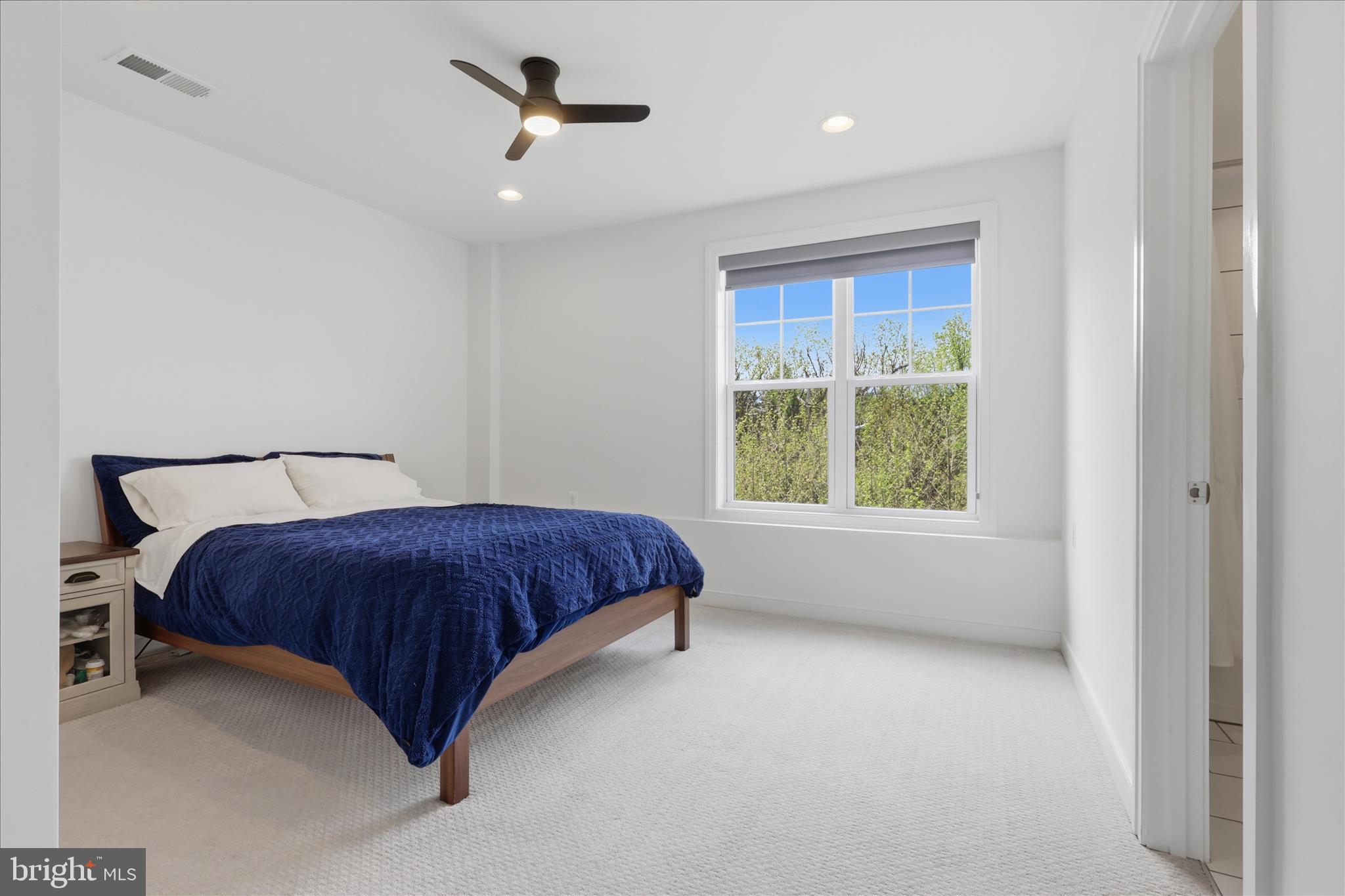 4732 Plum Road Monrovia, MD 21770 - Photo 64 of 93 Lower level bedroom